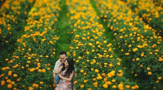 5 Destinasi Favorit Rayakan Valentine Bersama Yang Tersayang 1 Kebun Bunga Marigold.
