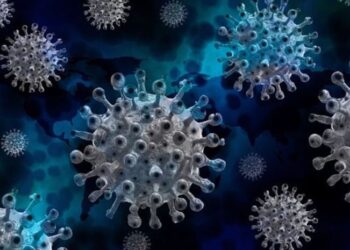 Ilustrasi virus Marburg.