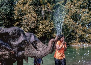 Ekowisata Tangkahan.