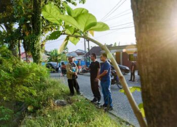 Zakiyuddin Harahap meninjau Jalan Setiabudi Baru yang kondisinya berlobang-lobang, Sabtu (26/4/2025).