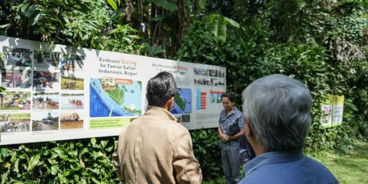 Benahi Medan Zoo, Rico Waas Sambangi Taman Safari Indonesia Bogor 1 Wali Kota Medan, Rico Waas melakukan studi tiru ke Taman Safari Indonesia, Bogor.