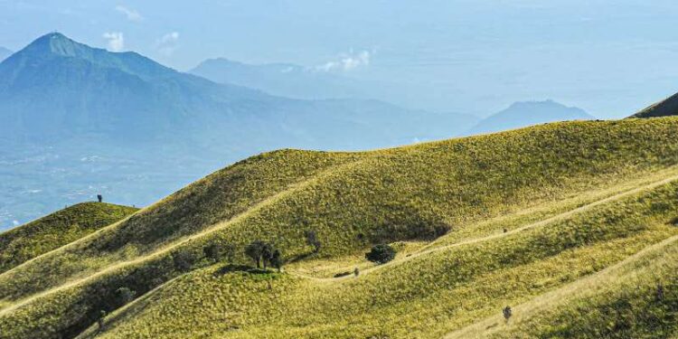 Merapi Merbabu De Trail.