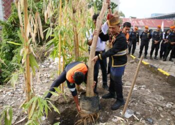 Penanaman sejumlah pohon Pule di lingkungan kantor KAI Sumut sebagai bentuk nyata implementasi prinsip ESG.
