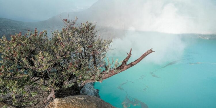 Daftar Geopark Indonesia yang Resmi Diakui UNESCO Tahun 2025 1 Geopark Ijen.