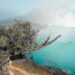 Daftar Geopark Indonesia yang Resmi Diakui UNESCO Tahun 2025 2 Geopark Ijen.