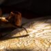 7 Jurusan Kuliah Unik di Indonesia, Bisa Pelajari Jamu hingga Batik 2 Ilustrasi membatik.