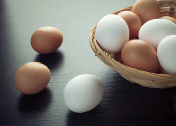 Ilustrasi telur.
