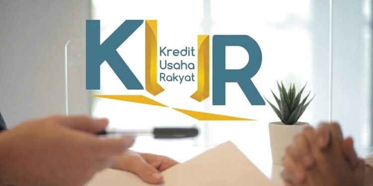 Bakal Direlaksasi, Bobby Percepat Sinkronisasi Data UMKM Terdampak Bencana 1 Ilustrasi KUR.