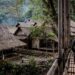 5 Fakta Unik Suku Baduy, Ada Tradisi Berjalan Kaki ke Jakarta 2 Suasana rumah tinggal Suku Baduy.