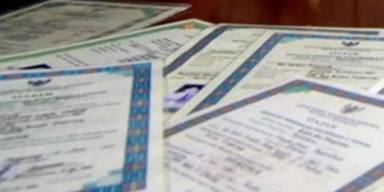 Pemko Medan Perluas Sasaran Program Tebus Ijazah 1 Ilustrasi ijazah.