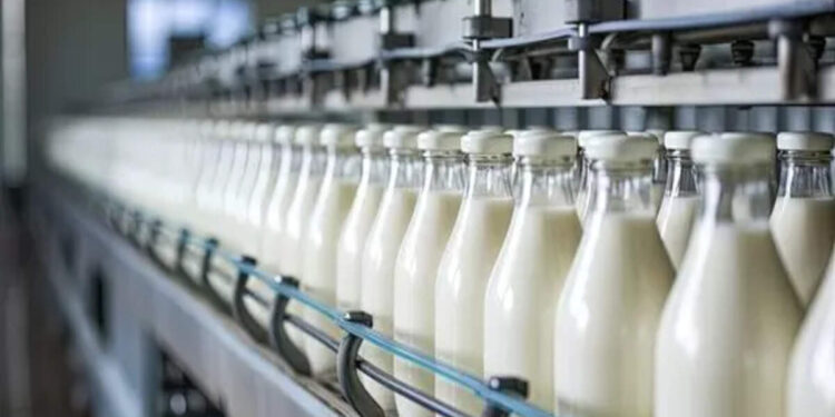 Kemenperin Perkuat Hilirisasi Industri Susu 1 Aktivitas di industri olahan susu.
