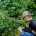 Wali Kota Medan, Rico Waas saat kegiatan gotong royong dan Sapa Warga di Jalan Tunggul Hitam, Kecamatan Medan Sunggal, Sabtu (27/6/2026).