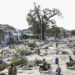 20 Tahun Tsunami Pangandaran, BMKG Ingatkan Kesiapsiagaan Dini 2 Kondisi Pangandaran usai diterjang tsunami.