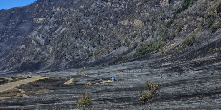 Kebakaran di Kawasan Bromo, Cek Reschedule dan Refund Tiket Bagi Wisatawan 1 Kondisi Bromo.