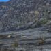 Kebakaran di Kawasan Bromo, Cek Reschedule dan Refund Tiket Bagi Wisatawan 2 Kondisi Bromo.
